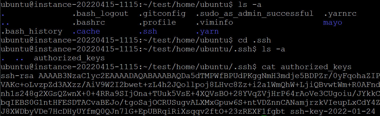 터미널에서 authorized_keys 파일을 확인하는 모습