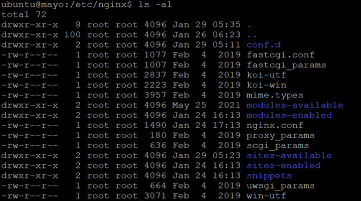 nginx 디렉토리 내부 파일들