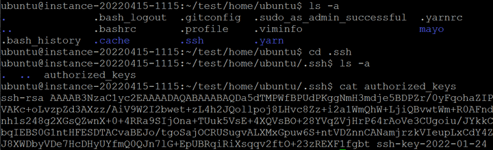 터미널에서 authorized_keys 파일을 확인하는 모습